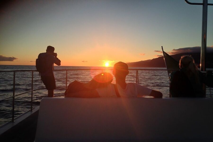 Madeira: Funchal Sunset Tour by Catamaran - Watching Madeira’s coast from the catamaran