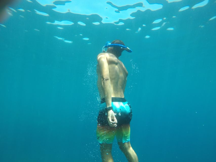 Madeira: Garajau Nature Reserve Kayak and Snorkel Tour - Key details of the Garajau kayak tour