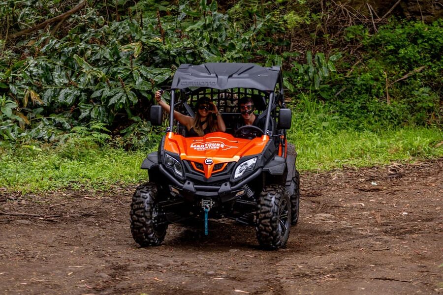 Madeira: Off-Road Buggy Adventure Through Laurissilva Forest - Who should book this Madeira adventure?