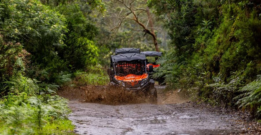 Madeira: Off-Road Buggy Adventure Through Laurissilva Forest - Driving the Trilho das Funduras