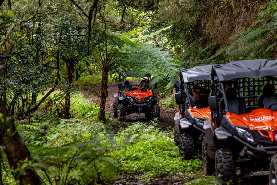 Madeira: Off-Road Buggy Adventure Through Laurissilva Forest - Casa das Funduras and the quieter middle section