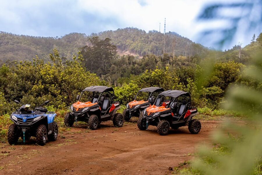 Madeira: Off-Road Buggy Adventure Through Laurissilva Forest - Boca do Risco and the north coast views