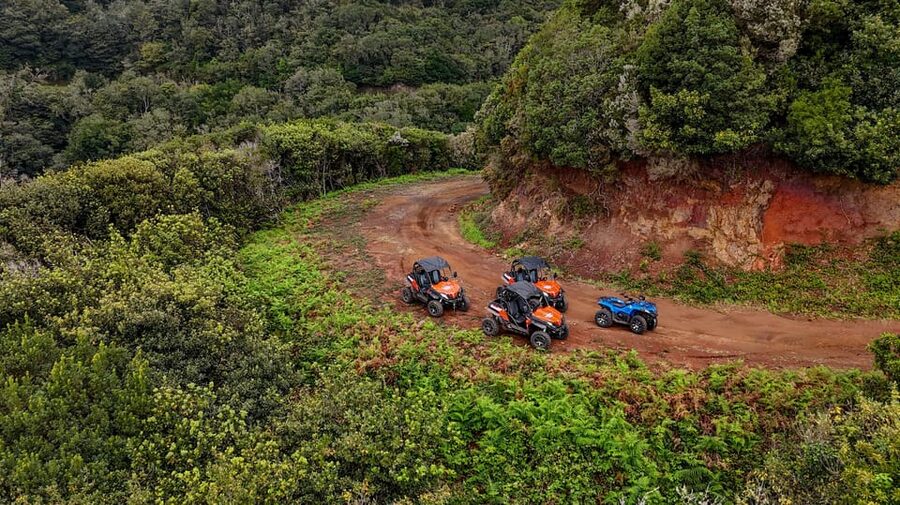 Madeira: Off-Road Buggy Adventure Through Laurissilva Forest - What the guides do better than a basic vehicle rental