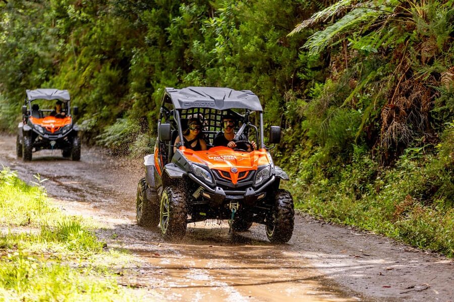 Madeira: Off-Road Buggy Adventure Through Laurissilva Forest - Safety, comfort, and the small drawbacks