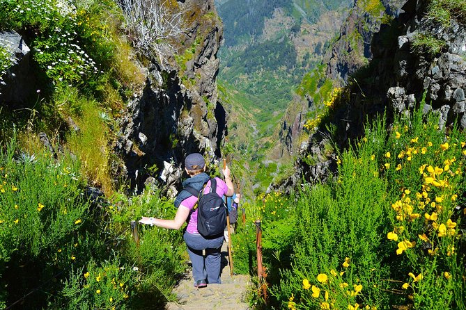 Madeira Peaks - Mountain Walk - Price, timing, and what you receive