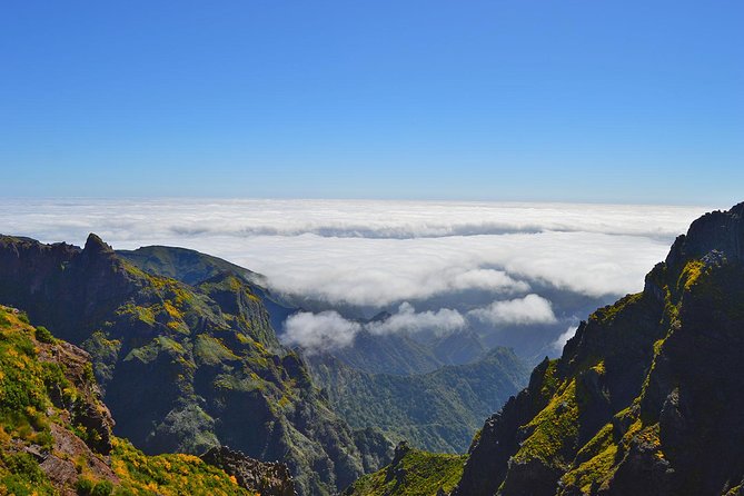Madeira Peaks - Mountain Walk - Through the old heather forest