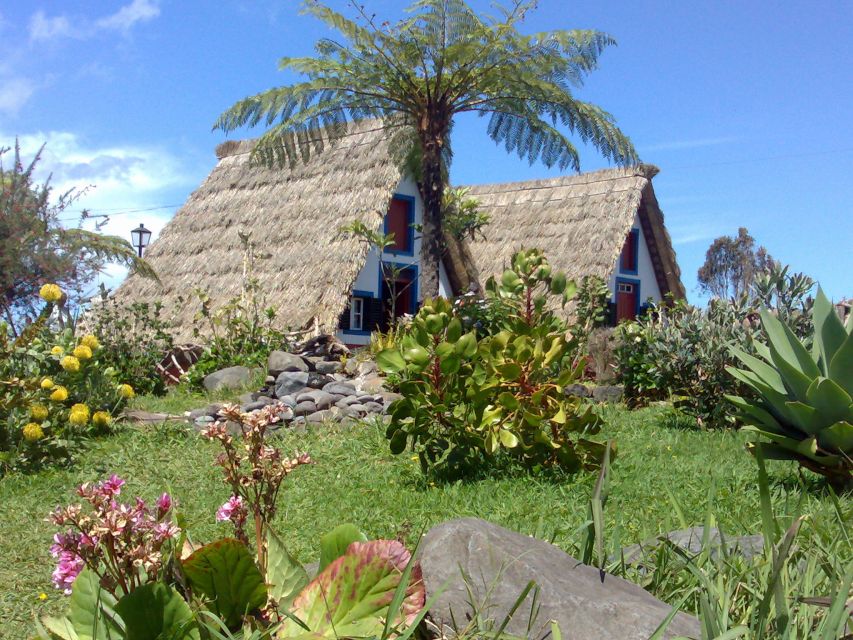 Madeira: Pico do Arieiro & Laurissilva Forest - East tour - Key points to know before booking