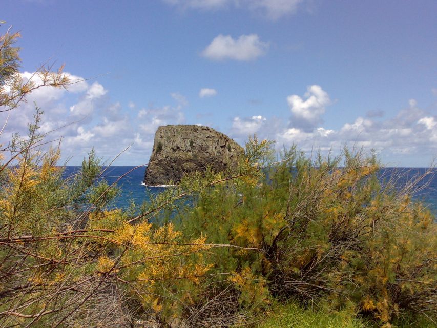 Madeira: Pico do Arieiro & Laurissilva Forest - East tour - Starting near Camacha and Terreiro da Luta