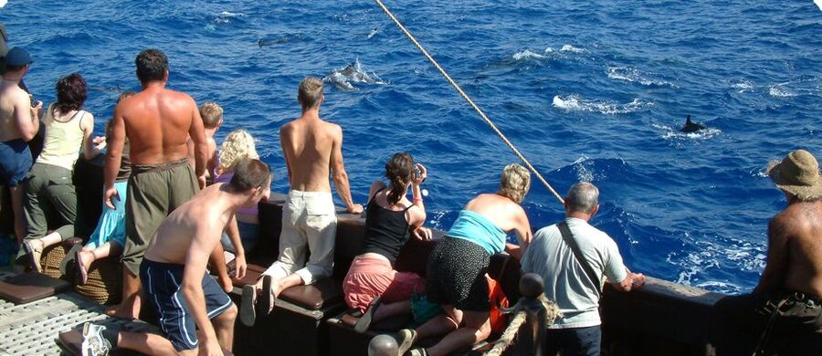 Madeira Pirate Ship: 3-Hour Boat Trip - Sailing south along Madeira’s coast