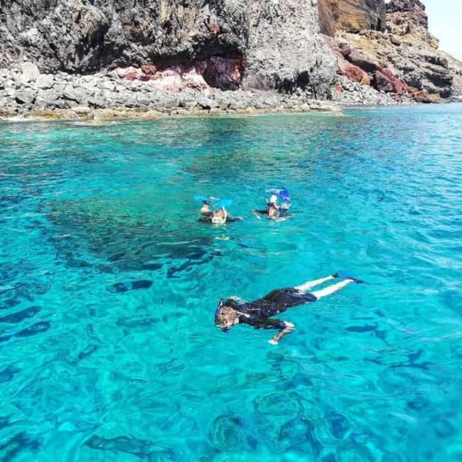 Madeira: Ponta de São Lourenço Snorkeling Boat Trip - What you may see below the surface