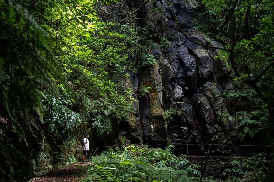 Madeira: PR 9 - Levada do Caldeirão Verde Hike Transfer - Key points at a glance