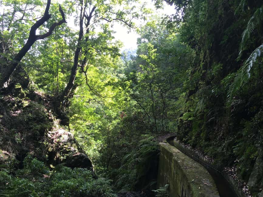 Madeira: PR 9 - Levada do Caldeirão Verde Hike Transfer - What the $47 price really buys