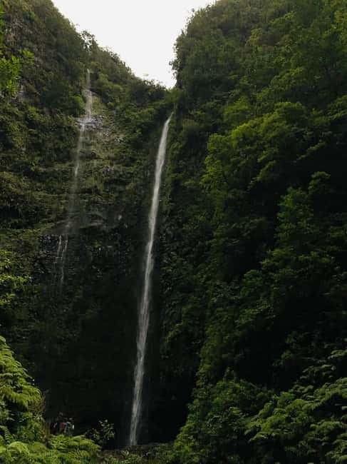 Madeira: PR 9 - Levada do Caldeirão Verde Hike Transfer - Who should book this Madeira hike