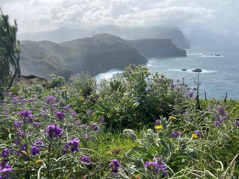 Madeira: PR8 -Ponta de São Lourenço Natural Reserve Transfer - How difficult is PR8?