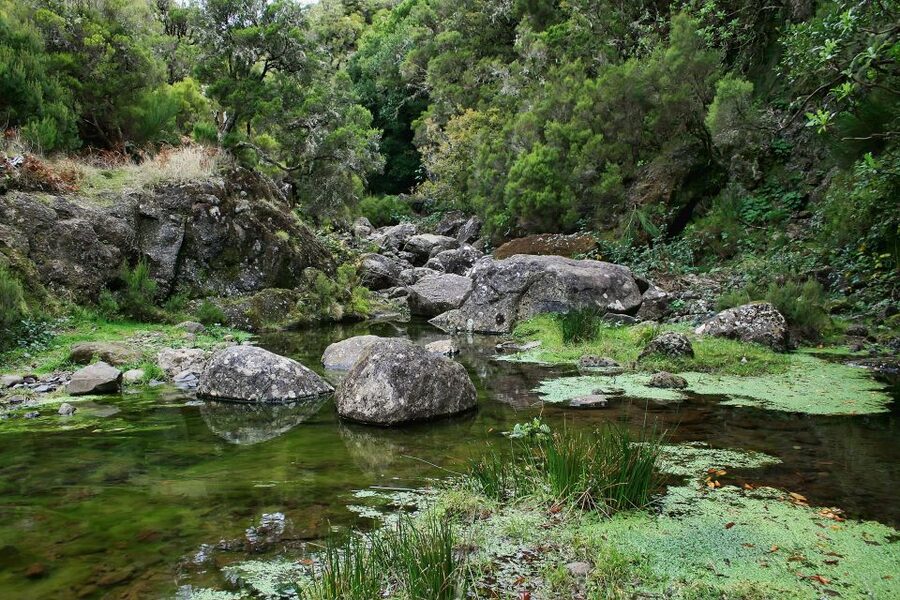 Madeira Walks - Rabaçal and the 25 Fountains - Why the guide can make or break the day