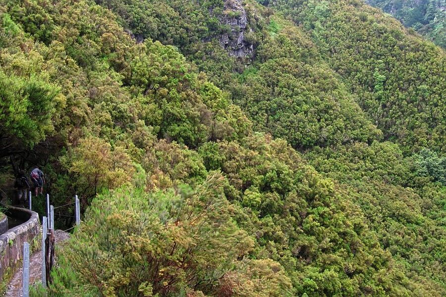 Madeira Walks - Rabaçal and the 25 Fountains - Transport, breaks, and the true value of $50