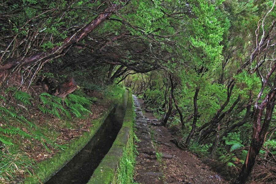 Madeira Walks - Rabaçal and the 25 Fountains - Crowds, weather, and the less polished parts