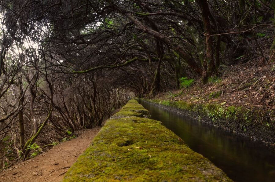 Madeira Walks - Rabaçal and the 25 Fountains - Walking through Rabaçal’s wet green world