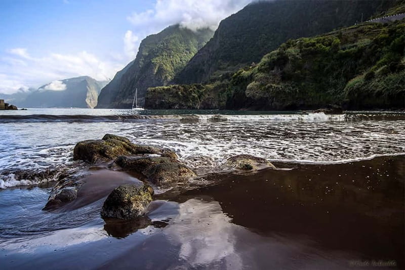 Madeira West Island Full-Day Tour with Fanal Forest - Why this route works for a first look at western Madeira