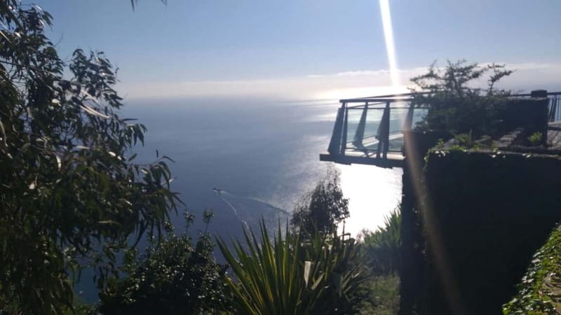 Madeira West Island Full-Day Tour with Fanal Forest - Lunch, guides, and the small-group feel