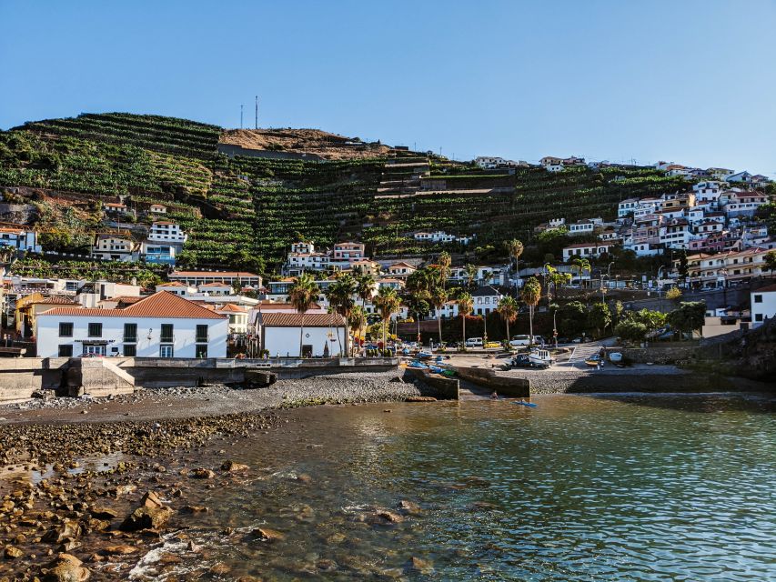 Madeira: Western Madeira Guided Trip & Fanal Mystic Forest - Porto Moniz volcanic pools and the longest break
