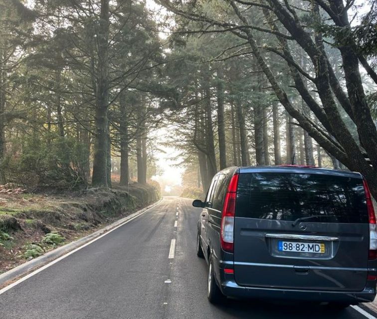 Madeira: Western Madeira Guided Trip & Fanal Mystic Forest - The guides and driving matter as much as the views