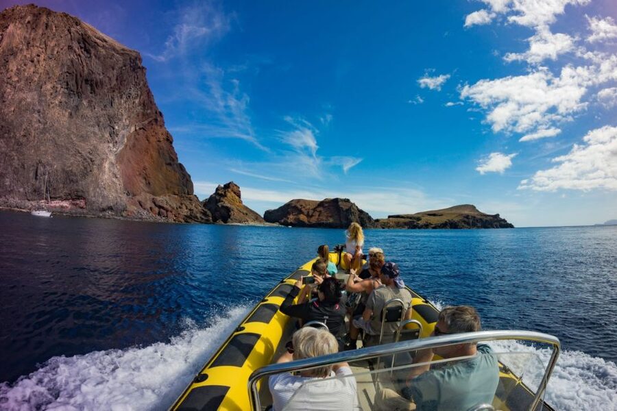 Madeira: Whale and Dolphin Watching Tour - Key points before you book
