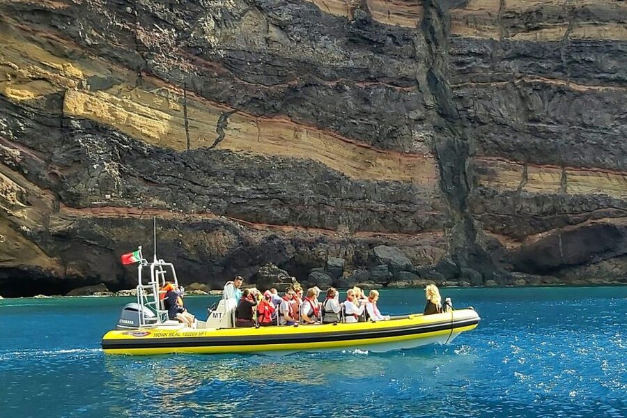 Madeira: Whale and Dolphin Watching Tour - Why the marine biologist guide matters