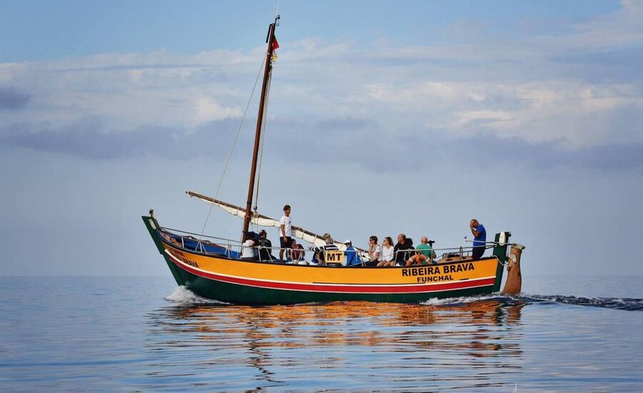 Madeira: Whale Watching Excursion in a Traditional Vessel - What I would watch for on board