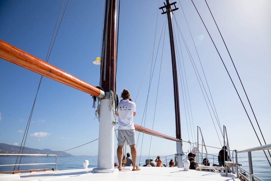 Madeira : Whales and Dolphins wooden boat excursion - Is $41 good value in Madeira?