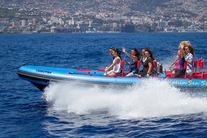 Magic Dolphin Sea Safaris - Key points at a glance