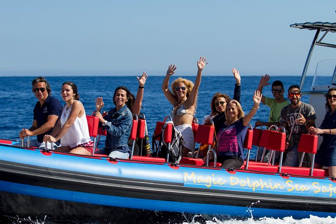Magic Dolphin Sea Safaris - Leaving Funchal Marina for open water