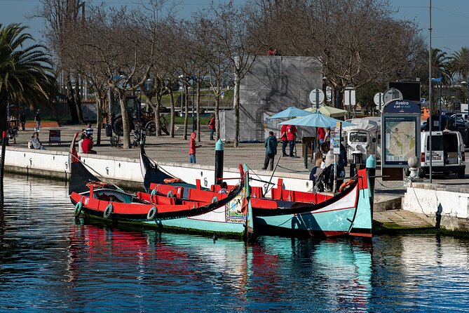 Moliceiro Boat Tour on the Ria de Aveiro - Why the Moliceiro setting adds appeal