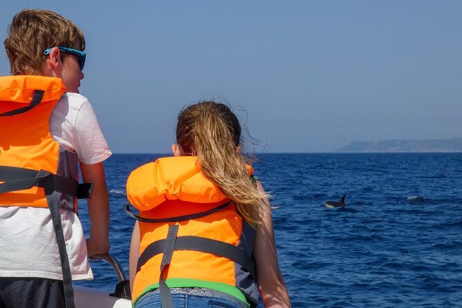 Observation of Dolphins and Whales with Marine Biologist in Arrábida - Cruising beside cliffs, caves, and coves