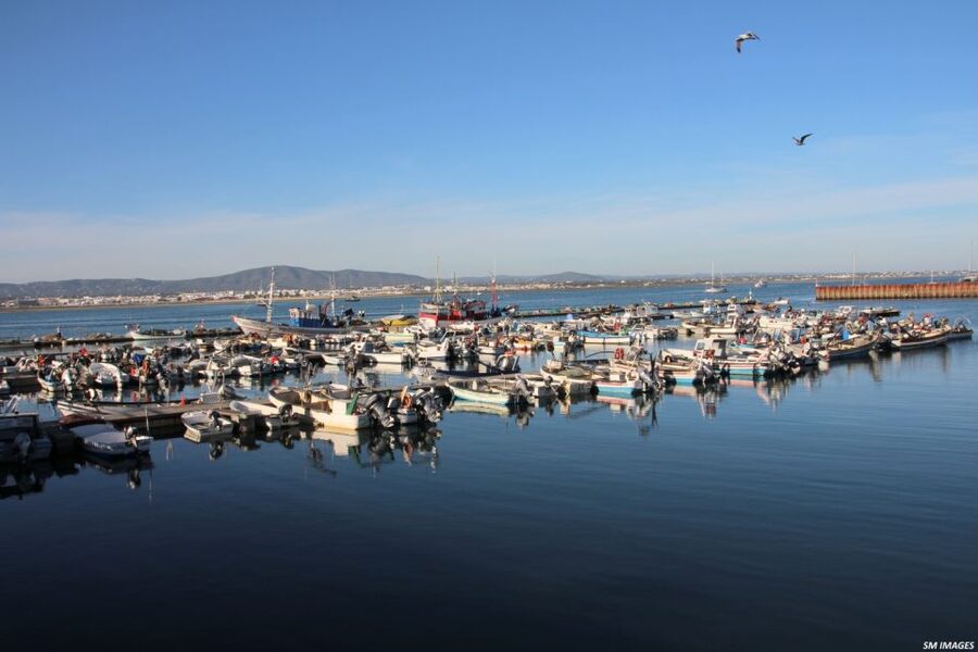 Olhão: 3 Islands Guided Sightseeing Tour with Lunch - What the guides add to the trip