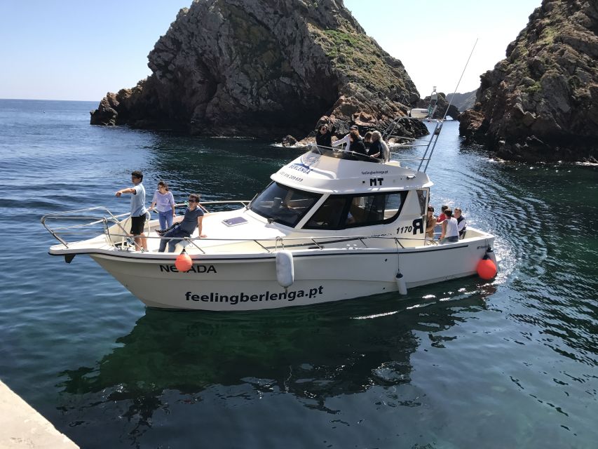 Peniche: Berlenga Island and Cave Tour - Seeing Berlenga from the glass-bottom boat