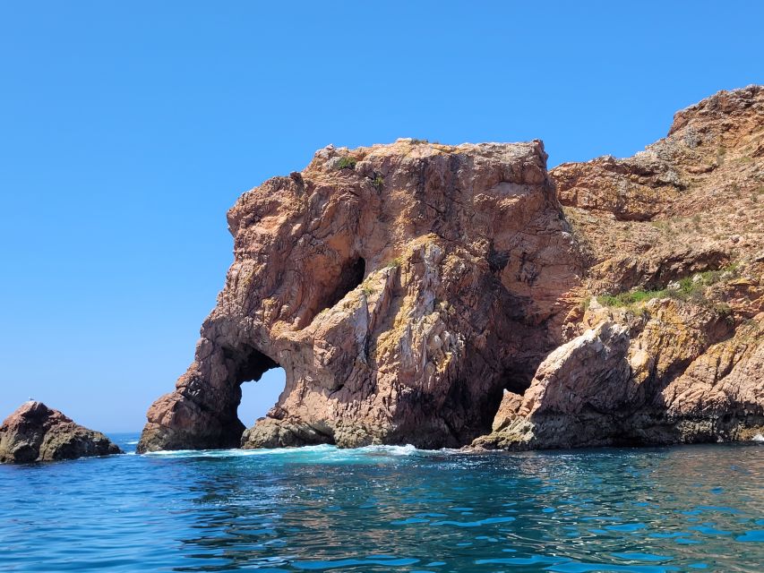 Peniche: Berlengas Island Round-Trip Ferry with Island Stop - Finding food and using your free time