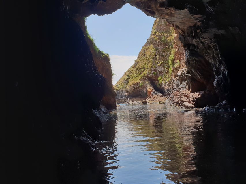 Peniche: Berlengas Roundtrip and Glass-Bottom Boat Cave Tour - Two hours to explore the island