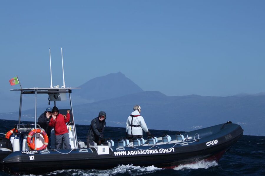 Pico Island: Azores Whale & Dolphin Watching on Zodiac Boat - The 10-minute safety briefing