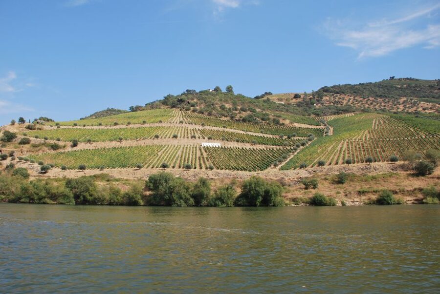 Pinhão: 2-Hour Rabelo Boat Tour with Audio Guide - Beneath the Iron Bridge and Into the Valley