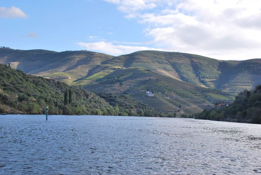 Pinhão: 2-Hour Rabelo Boat Tour with Audio Guide - The Rabelo Boat, Seating, and Weather