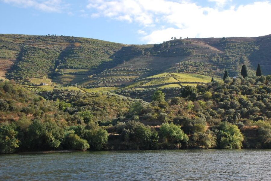 Pinhão: 2-Hour Rabelo Boat Tour with Audio Guide - Getting the Audio Guide to Work