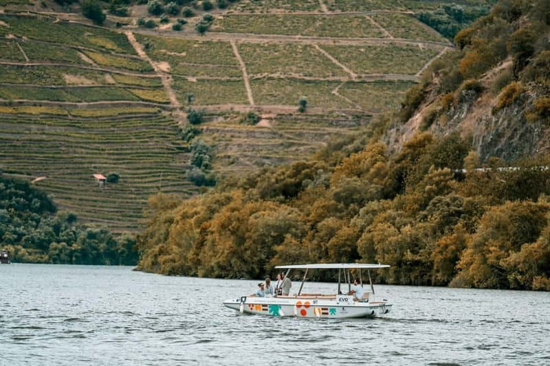 Pinhão: Douro River Solar Boat Tour with Wine Tasting - Comfort, weather, and the small-group feel