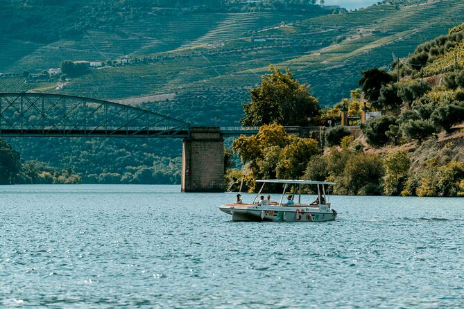 Pinhão: Electric Boat Experience 1h - Taste of Two Wines - What the one-hour route actually shows you