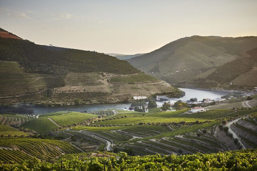 Pinhão: Quinta do Bomfim Visit and Tasting - Key points about Quinta do Bomfim