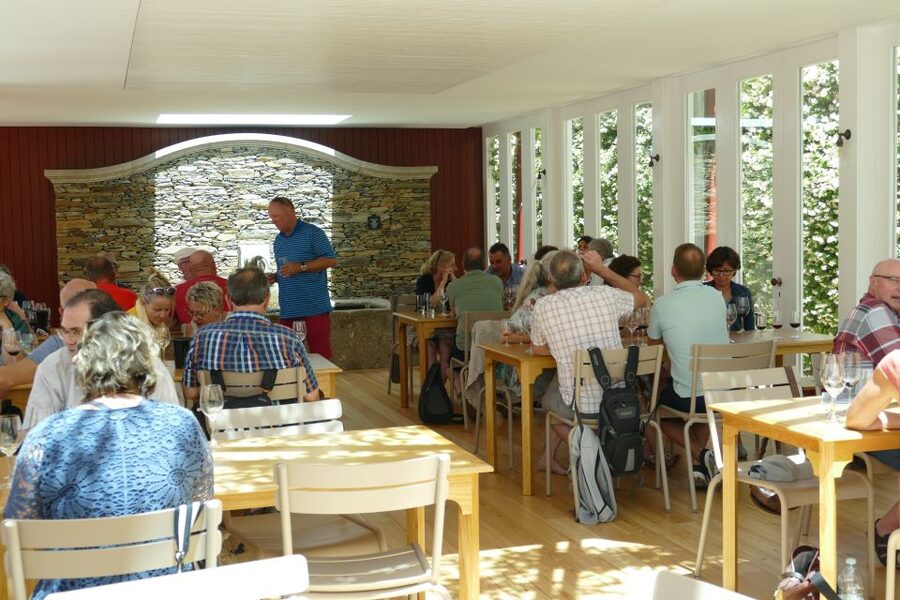 Pinhão: Quinta do Bomfim Visit and Tasting - Pick one of three vineyard walks