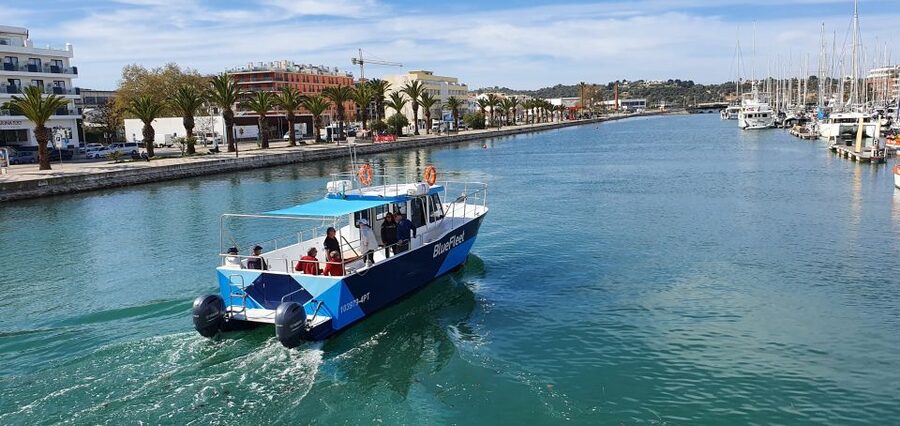 Ponta da Piedade: Half-Day Cruise with Lunch from Lagos - Who Will Enjoy This Cruise Most?