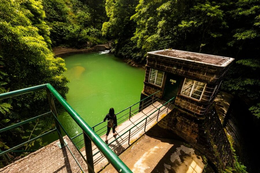 Ponta Delgada: Hidden Gems of São Miguel Full-Day Van Tour - Why this São Miguel tour feels different