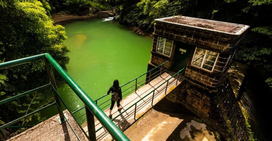 Ponta Delgada: Hidden Gems of São Miguel Full-Day Van Tour - A leafy walk to a small dam
