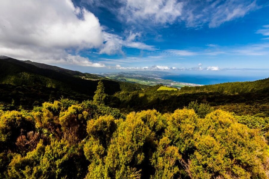 Ponta Delgada: Hidden Gems of São Miguel Full-Day Van Tour - The first geothermal field sets the tone